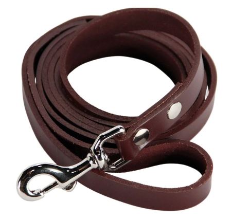 Leather Leash